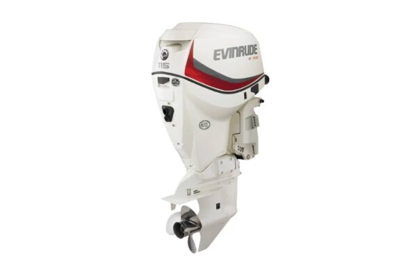 2019 Evinrude 115HP E115DCX For Sale