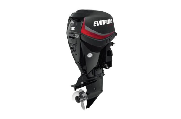 2019 Evinrude 115HP E115DGX For Sale