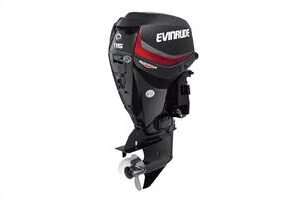 2019 Evinrude 115HP E115GNL For Sale – 20 in. Shaft