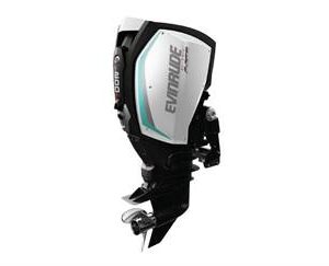 2019 Evinrude 150HP C150PL For Sale