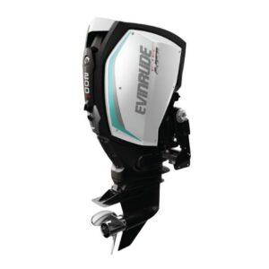2019 Evinrude 200 HO H200AXH For Sal