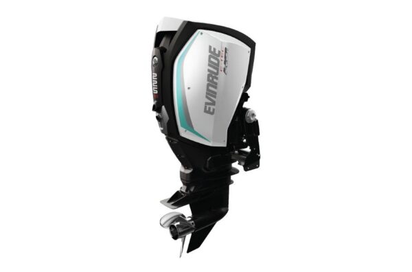 2019 Evinrude 225 HO H225LH For Sale