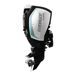 2019 Evinrude 250 HO H250AXC For Sal