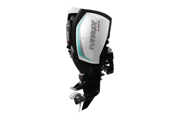 2019 Evinrude 250 HO H250LH For Sale