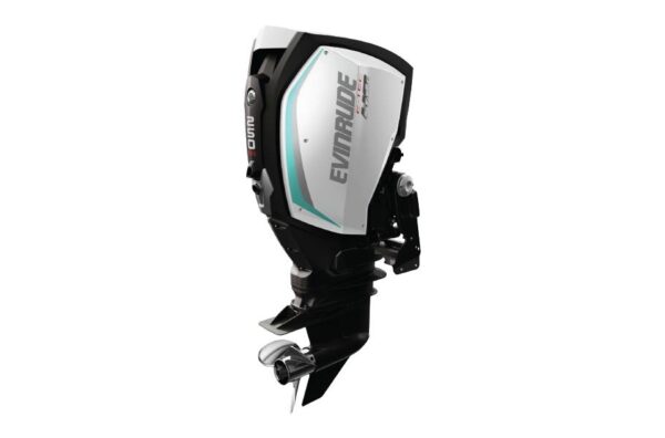 2019 Evinrude 250 HO H250XH For Sale