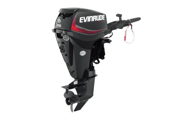 2019 Evinrude 25HP E25DGTL For Sale