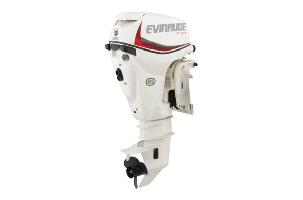 2019 Evinrude 25HP E25DTSL For Sale