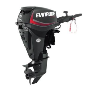 2019 Evinrude 30HP E30DGTL For Sale