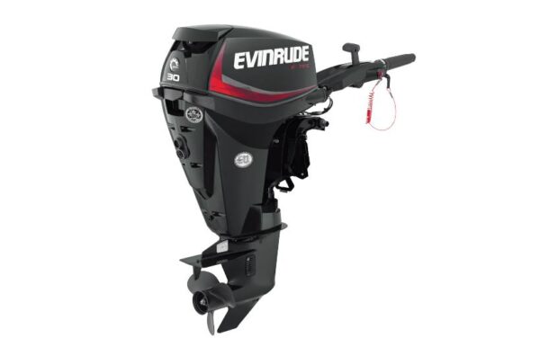 2019 Evinrude 30HP E30DRG For Sale