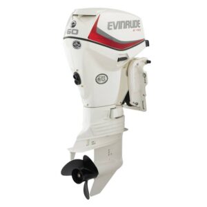 2019 Evinrude 60HP E60DSL For Sale – 20 in. Shaft