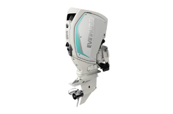 Evinrude 250 HO H250HGXF For Sale