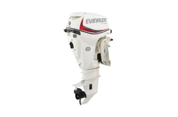 Evinrude 25HP E25DPSL For Sale