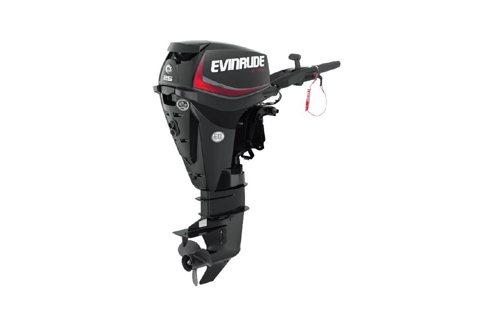 Evinrude 25HP E25GTEL For Sale