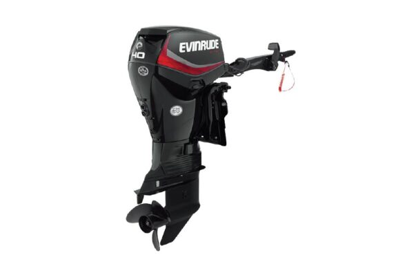 Evinrude 40HP E40DGTL For Sale