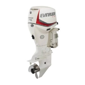 Evinrude 75HP E75DSL For Sale