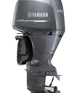 Yamaha F175XA For Sale